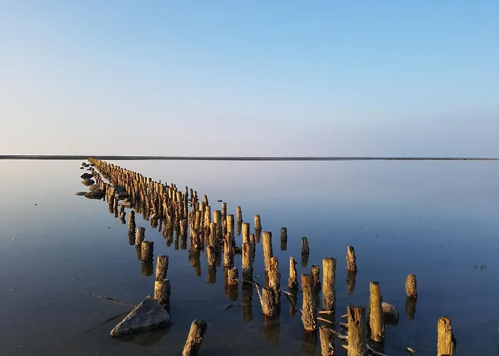 Apartment Lieblingsort *